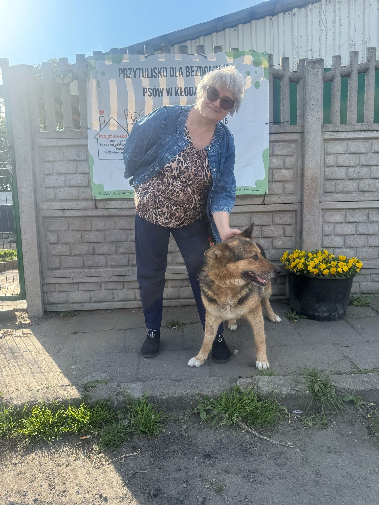 Główne zdjęcie posta Adopcja 