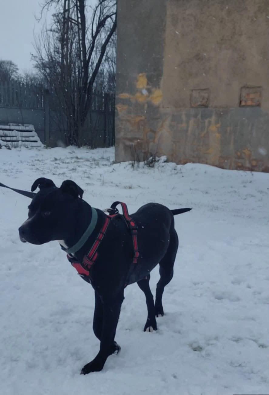 Dodatkowe zdjęcie ogłoszenia Keira