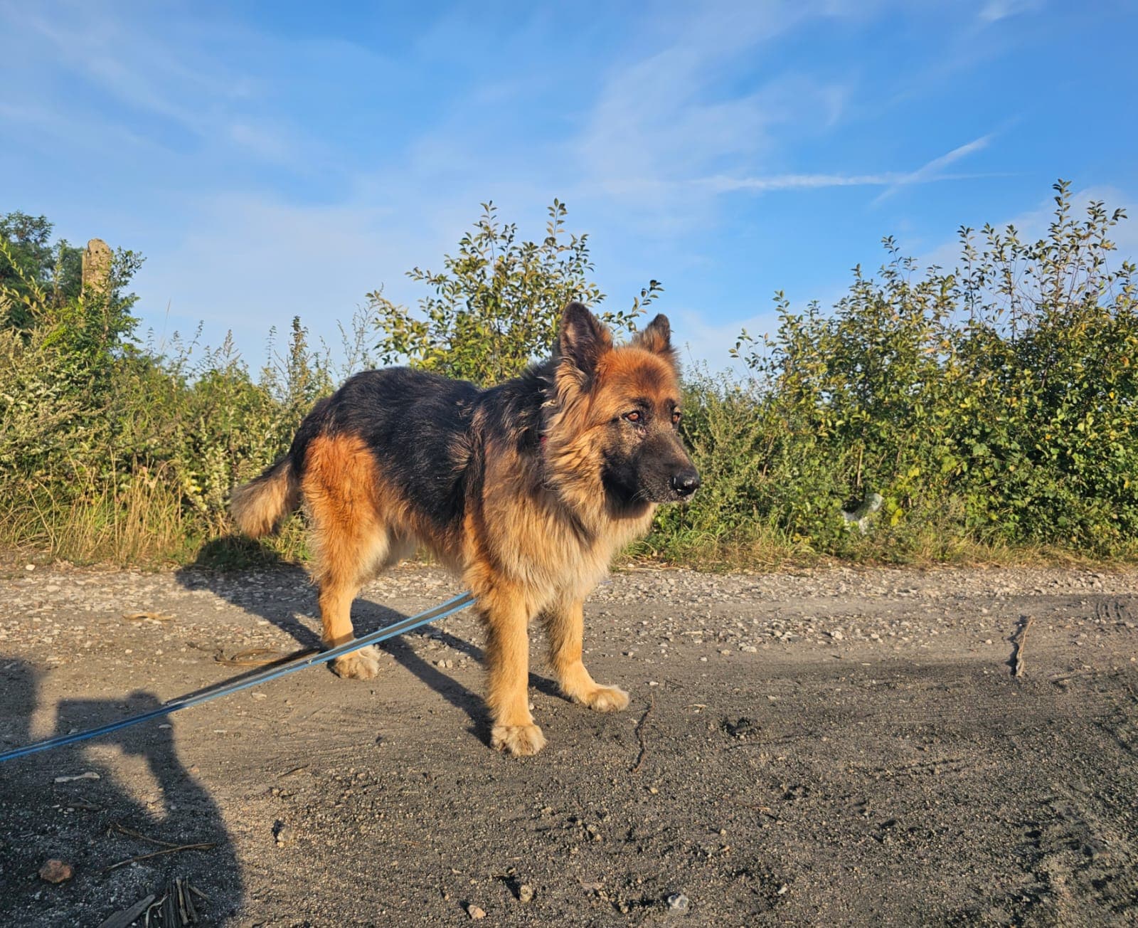 Główne zdjęcie ogłoszenia Zara