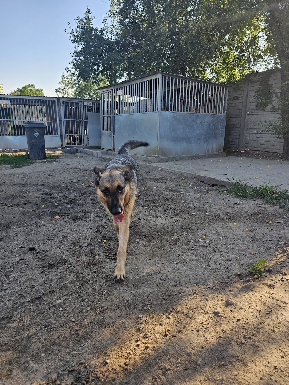 Dodatkowe zdjęcie ogłoszenia Tori